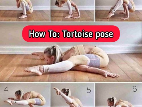 Tortoise pose: Step by step Instructions and Benefits - sharpmuscle