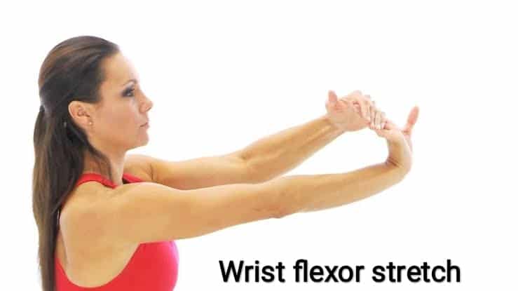 Wrist flexor stretch - sharpmuscle