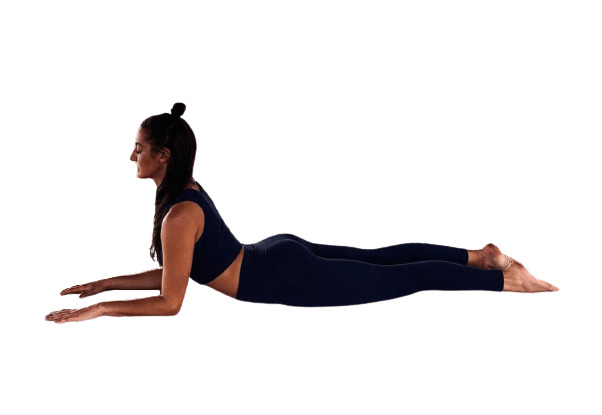 Sphinx Pose (Salamba Bhujangasana) to ease your back pain - sharpmuscle