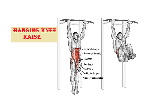 Hanging knee raise ab workouts - Sharp Muscle