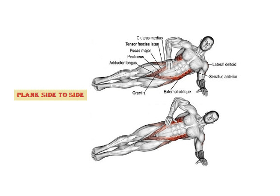 Plank side to side - Sharp Muscle