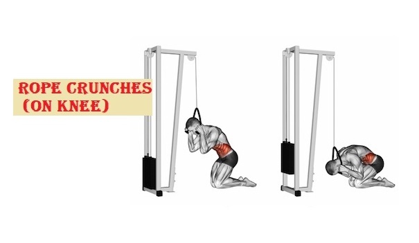 Rope crunches upper ab workouts - Sharp Muscle 