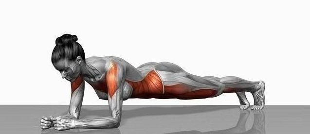 planks - Sharp Muscle