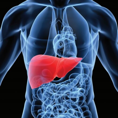 Fatty Liver Diet Plan - Sharp Muscle