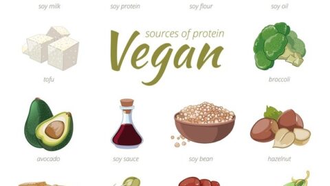 vegan sources protein plant based protein clipart cartoon style peas haricot hazelnut avocado broccoli soy vegans get protein - Darshita Singh - Sharp Muscle