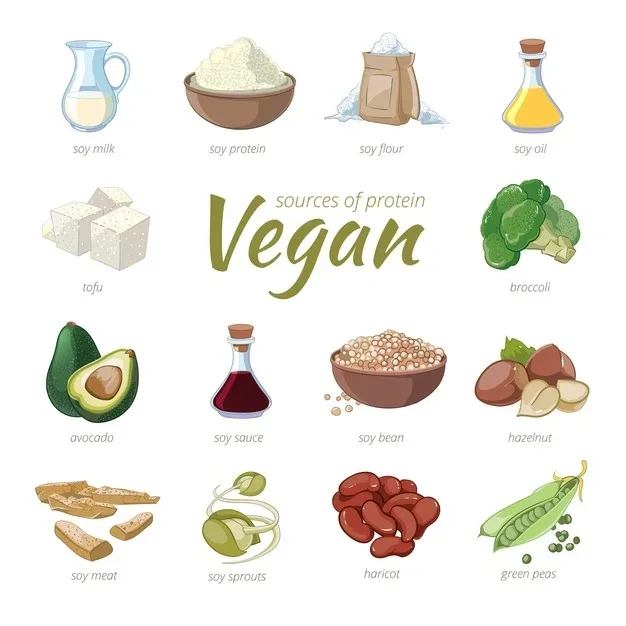vegan sources protein plant based protein clipart cartoon style peas haricot hazelnut avocado broccoli soy vegans get protein - Darshita Singh - Sharp Muscle