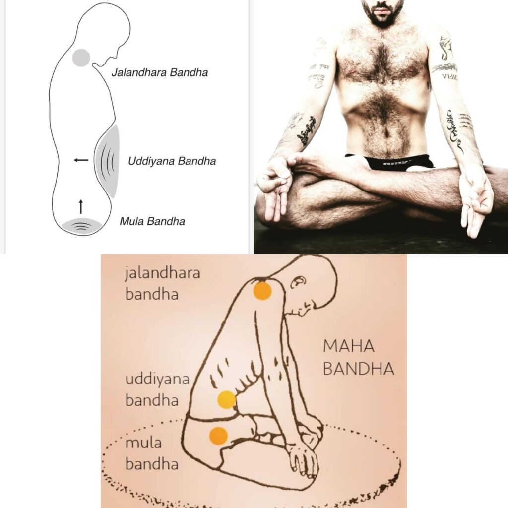 Bandha: Jalandhara Bandha, Uddiyana Bandha, Mula Bandha, and Maha Bandha - Sharp Muscle