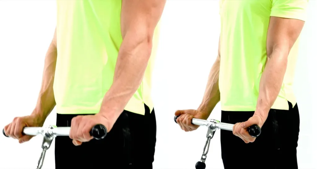 Cable wrist extensions and flexion forearms