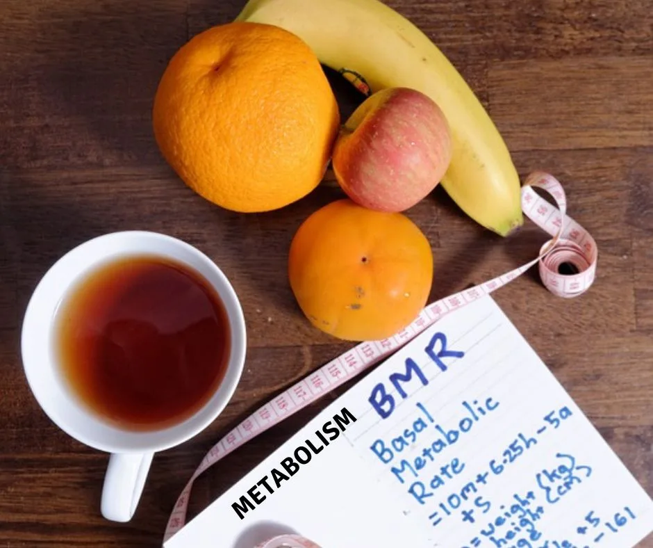 Metabolism 101: What Is It, Tips and Strategies for Optimal Health - sharpmuscle
