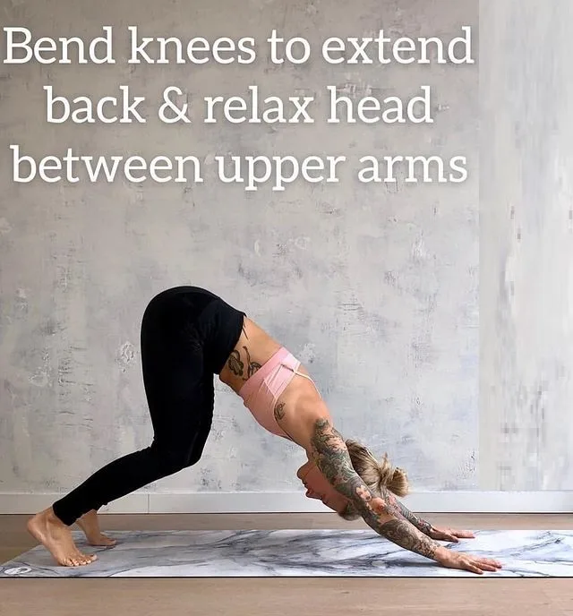 Downward Dog with Bent Knees - SharpMuscle